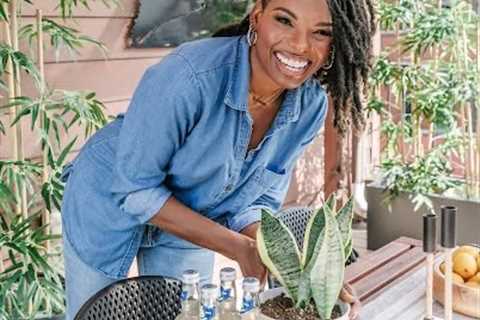 Carmeon Hamilton, HGTV Star, Talks About New Series and How Sacrifices Made her Shine
