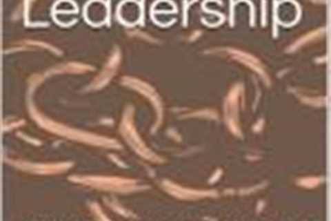 Seasoned Leadership in Action (tm) Interview Excerpts - Lessons Learned from Global Leaders