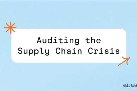 How bad is the Supply Chain Crisis? An Audit of the Nation