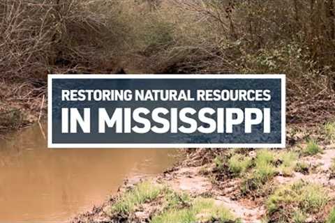 Mississippi Natural Resources Restored