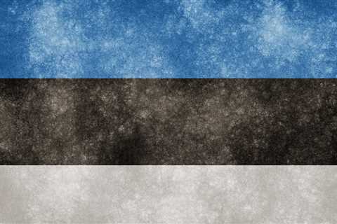 Estonian Government pledges more money for defense as tensions rise over Ukraine
