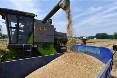 China's agricultural tech: Feeding 20% with 7% of its arable soil