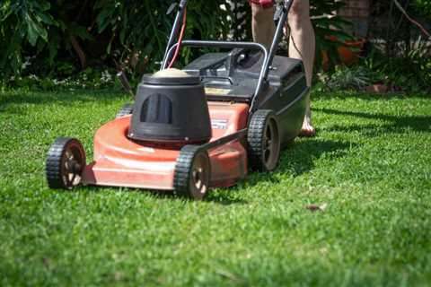 Lawn care management -- How do you run a profitable lawn care business?